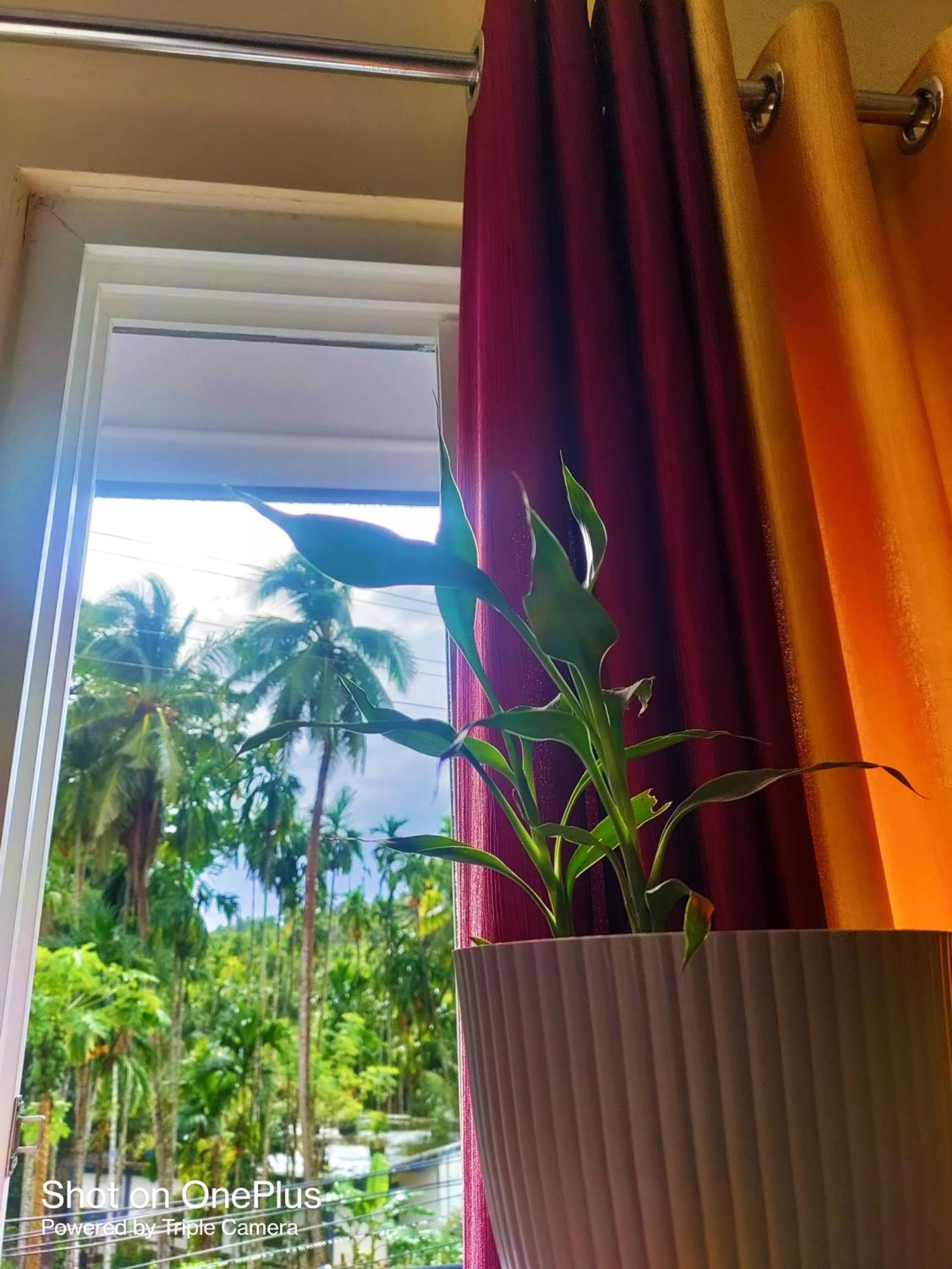 Haven Garden Homestay Порт-Блэр Экстерьер фото